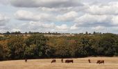 Tour Wandern Verviers - Stembert . les Roudoudous . Stembert - Photo 10