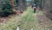 Trail Horseback riding Baccarat - Chez Alex mercredi 21 février 24 Mirador  - Photo 17