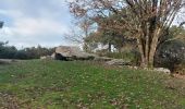 Tour Wandern Saint-Philibert - PR_56_St-Philibert_CA_03_Circuit1b_Landes-Et-Menhirs_20221227 - Photo 3