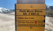 Trail Walking Courchevel - Courcheveles crete charbet, petit mont blanc - Photo 14