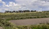 Excursión Senderismo Mornac-sur-Seudre - MORNAC / SEUDRE avec jeannot et babeth - Photo 8