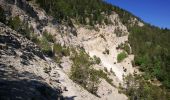 Excursión Senderismo Brantes - Brantes-Ventoux-Frache-Brantes-Bis - Photo 3