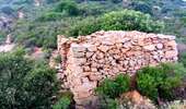 Trail Walking Calvi - Citadelle Calvi - Village - Notre dame de la Serra - Photo 7