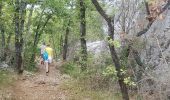 Trail Walking Berrias-et-Casteljau - Wikiloc Bois de Paiolive (PVDB) - Photo 10