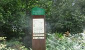 Trail Walking Houppeville - 20200905-Houppeville  - Photo 9