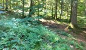Trail Walking Xonrupt-Longemer - randonnée sur 2 jours des 5 lacs dans les Vosges ( longemer, blanchemer, lispach, Retournemer, de la lande) - Photo 2