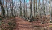 Trail Walking Santa Pau - la Garrotxa : volcan Santa Margarida et volcan de Croscat - Photo 11