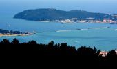 Tocht Stappen Toulon - SityTrail - 4 Chemins des Routes - Le Croupatier - Le Broussan - Col du Corps de Garde - Photo 16