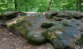 Tour Wandern Windstein - Windstein - Photo 1