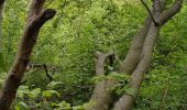 Trail Walking Giverny - Giverny Le lézard vert - Photo 14