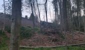 Tour Wandern Watermael-Boitsfort - Watermaal-Bosvoorde - promenade matinale a boisfort - Photo 14