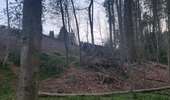 Percorso Marcia Watermael-Boitsfort - Watermaal-Bosvoorde - promenade matinale a boisfort - Photo 14