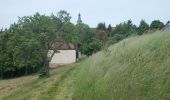 Percorso A piedi Großheringen - Rundweg Kaatschen-Tultewitz - Photo 6