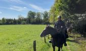 Trail Horseback riding Bastogne - Tripoux mai 2023 2 - Photo 5