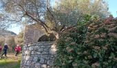 Percorso Marcia Roquebrune-sur-Argens - Les 25 ponts-Roquebrune sur Argens-28-01-22 - Photo 1