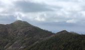 Trail Walking Levanto - Levanto et sa coline  - Photo 16