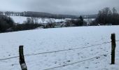 Tour Wandern Saint-Hubert - St Hubert - La Borne - Photo 1