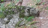 Trail Walking Prévenchères - GORGES DU CHASSEZAC DEPUIS LA GARDE- GUERIN - Photo 13