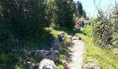 Trail Walking Seyssins - MOUCHEROTTE - Photo 2