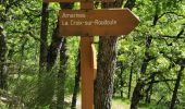 Trail Walking La Croix-sur-Roudoule - La Croix sur Roudoule - Photo 13