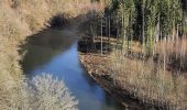 Tour Wandern Bouillon - Corbion  - Photo 5