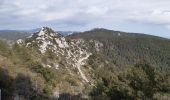 Percorso Marcia Sanary-sur-Mer - Sanary : La Pointe du Cerveau - Photo 1