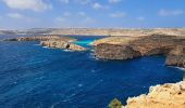 Tour Wandern Għajnsielem - MALTE 2024 / 04 COMINO ISLAND - Photo 2