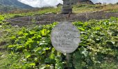 Tour Wandern Beaufort - Barrage St Guerin Refuge de l’Econdu 12 km - 600 m d’en + - Photo 10