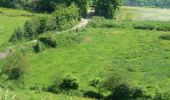 Trail On foot Houyet - GrWandArdRiv27: Gendron: een prachtig stuk Beneden-Lesse (PVDB) - Photo 13
