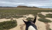 Trail Horseback riding Bardenas Reales de Navarra - Bardenas jour 6 - Photo 10
