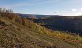 Trail Horseback riding Viroinval - Oignies- Nobertin- La folie-Oignies - Photo 7