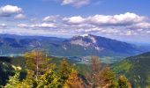 Trail On foot Tarvisio - AT-508 - Photo 3