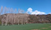 Tocht Stappen Santa Pau - la Garrotxa : volcan Santa Margarida et volcan de Croscat - Photo 17