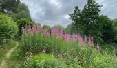 Tocht Stappen Clervaux - Escapardenne Eisleck Trail: Clervaux - Moulin d'Asselborn - Photo 18