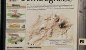 Trail Walking Aydat - Es pinasse. Combegrasse  - Photo 1