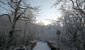 Excursión A pie Jersbek - Durch Brook, Wald und Auen - Photo 1