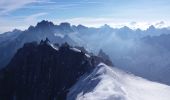 Tocht Stappen Chamonix-Mont-Blanc - MASSIF DU MONT BLANC: TRAVERSEE PLAN DE L'AIGUILLE - MONTENVERS - Photo 10