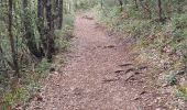 Trail Walking Montmeyan - les basses gorges de quinson - Photo 10