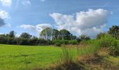 Randonnée Marche Theux - campagne sud de la reid  - Photo 16