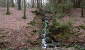 Trail On foot Jalhay - 56. Solwaster - Sawe - Photo 4