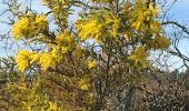 Tocht Stappen Manosque - Les bassins de J.P. - Photo 1