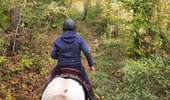 Trail Equestrian Charleville-sous-Bois - Wikiloc - Gondreville - Les secrets des bois - Photo 18