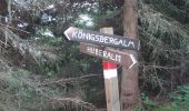 Trail On foot Dienten am Hochkönig - Sonnberg-Königsbergalm - Photo 8