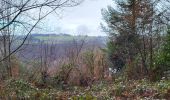 Tour Wandern Bouillon - Rochehaut 190323 - Photo 18