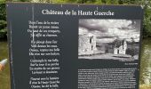 Trail Walking Val-du-Layon - Val-du-Layon  - Photo 8