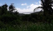 Tocht Stappen La Trinité - La Breche Granjean-Morne Pavillon en boucle  - Photo 2