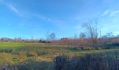 Trail Walking Theux - la reid . charmille . vertbuisson / retour en boucle - Photo 1