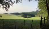 Tour Wandern Amel - Herresbach Emile - Photo 9