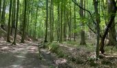 Trail Walking Hoeilaart - Grœnendael ouest + arboretum 9,8 km - Photo 3