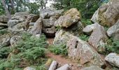 Tocht Stappen Fontainebleau - Fontainebleau Sentier Denecourt 1 prolongé - Photo 19